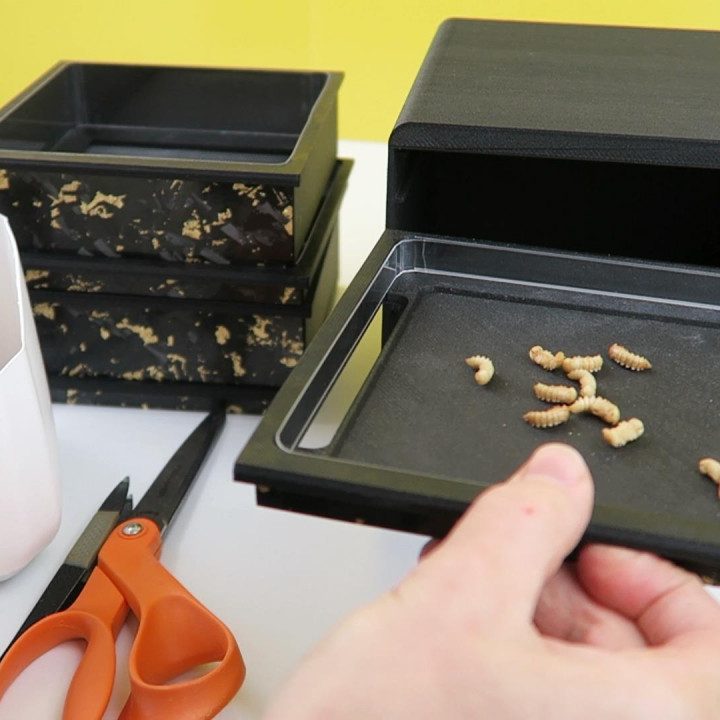 3D Printable Desktop Mealworm Farm (SelfSorting) by Lindy Design Lab