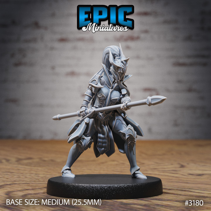 Hunters Guild Female Knight Spear / Dragon Hunter / Beast Tamer / Draconic Warrior / Evil Drake Army image
