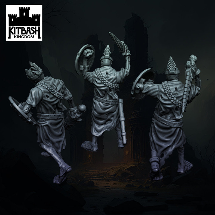 Ruins of the Blighted Dead - Miniatures image