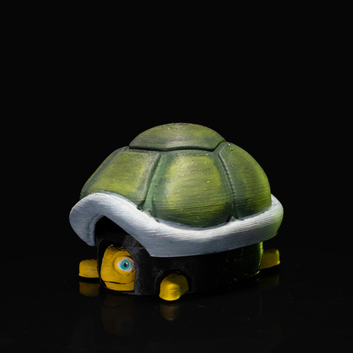 Retractable Sleepy Turtle