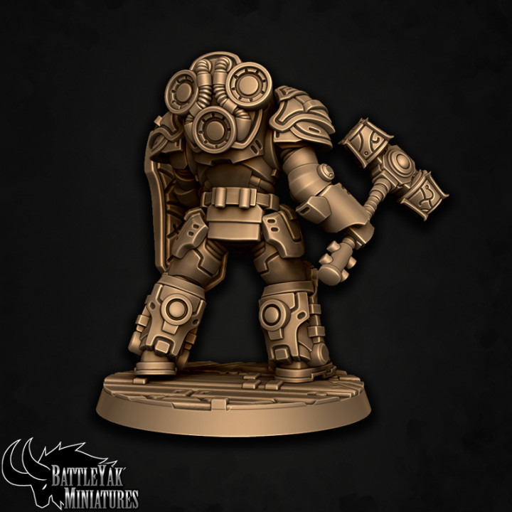 Sentinel-Paladin Close-Combat Warrior D image