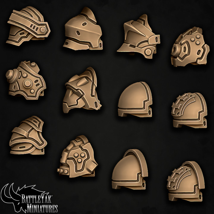 Sentinel-Paladin Close-Combat Warrior F