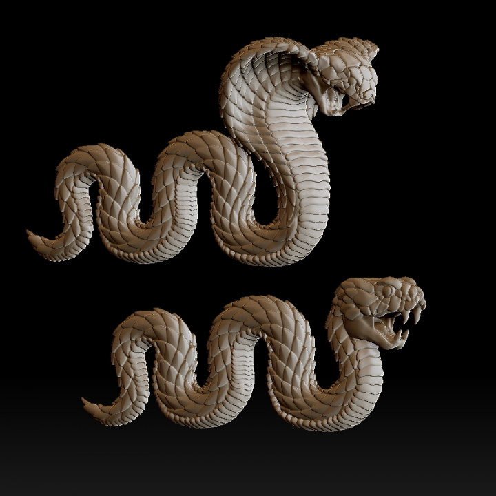 snake image