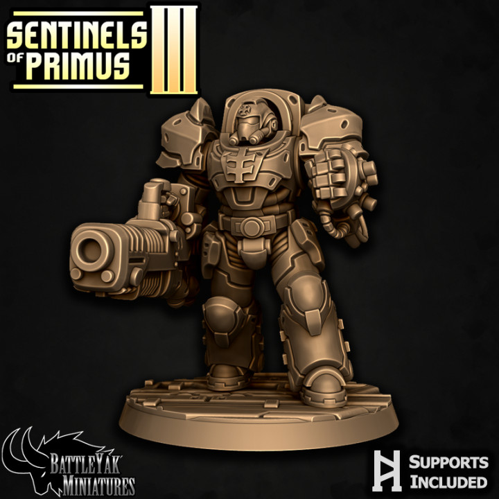 Sentinel-Paladin Ranged Warrior B image
