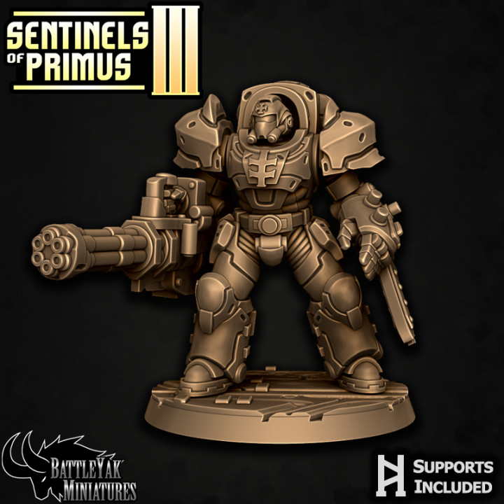 Sentinel-Paladin Ranged Warrior D image