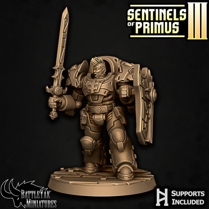 Sentinel-Paladin Close-Combat Pack image