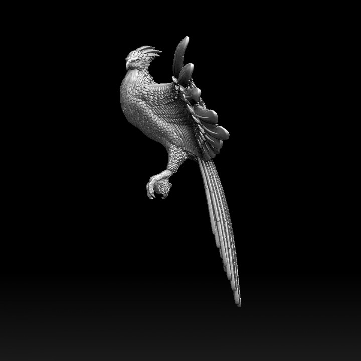 phoenix