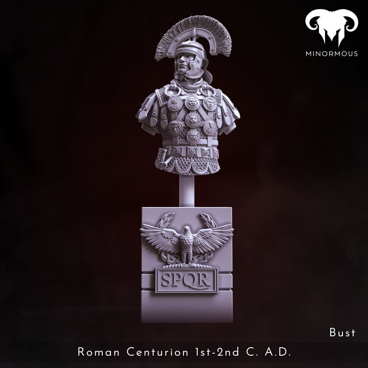 Bundle - Roman Centurion 1st-2nd C. A.D. Bravery and Valor! image
