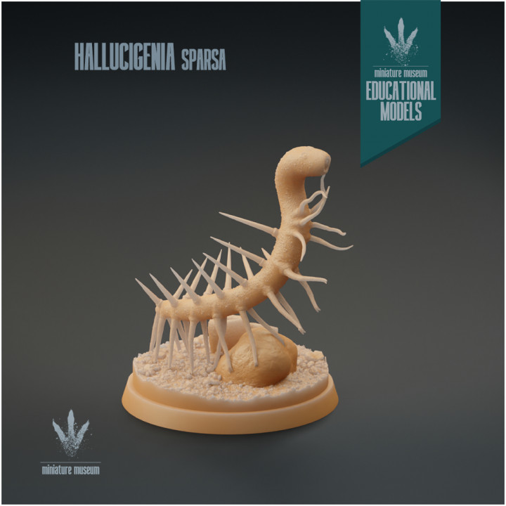 Hallucigenia sparsa : Prickly Worm