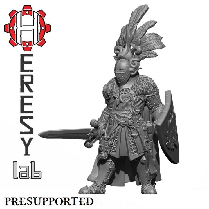 AX044 Lion Knight