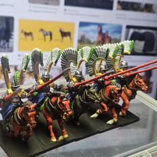 Picture of print of Slavia Winged Lancers miniatures (32mm, modular)
