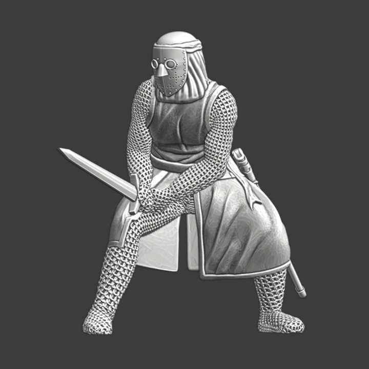 Lazarus knight fighting with sword image