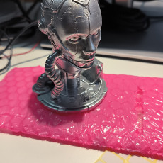Picture of print of Cyborg (Pre-Supported)