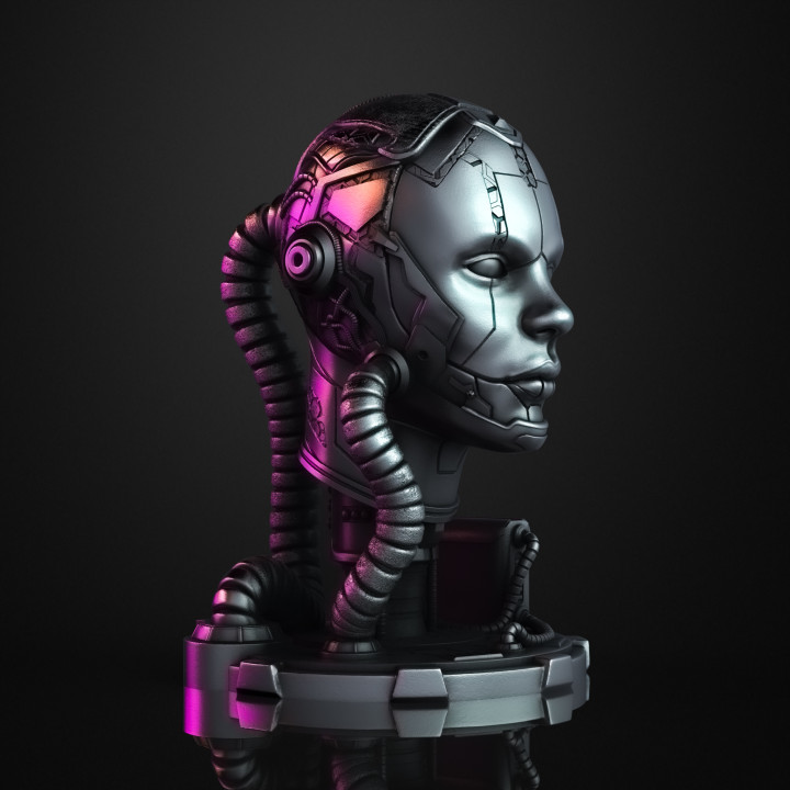Cyborg (Pre-Supported) image