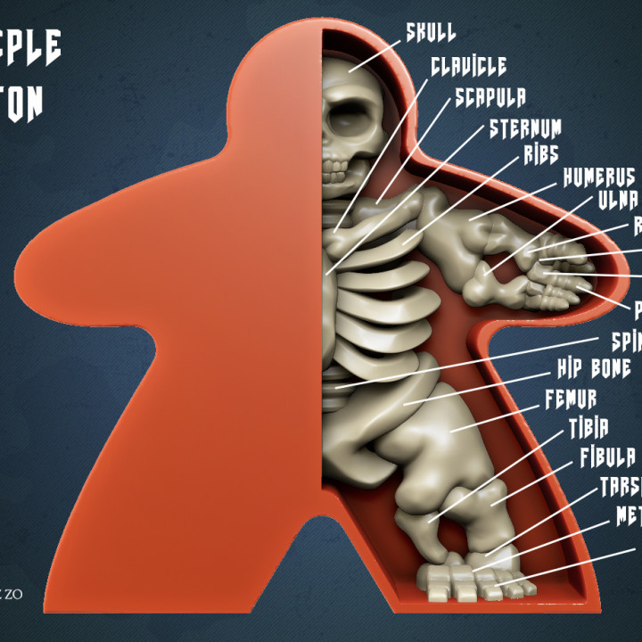 The Meeple Skeleton Art Toy image