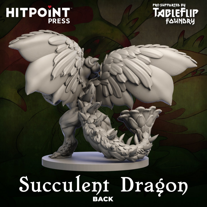 FLORAL DRAGONS - Book 3 - Succulent Dragon image