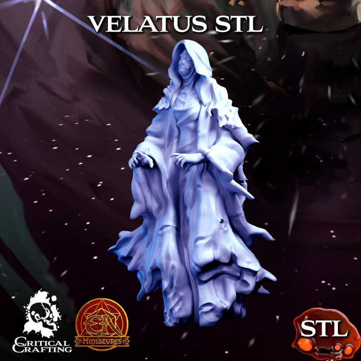 Velatus (The Vieled) image