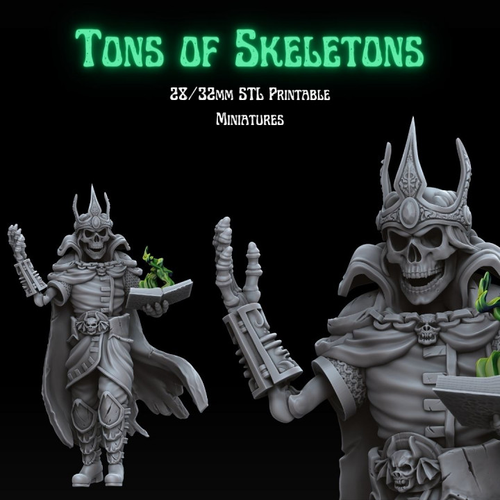 Tons of Skeletons: Lich image
