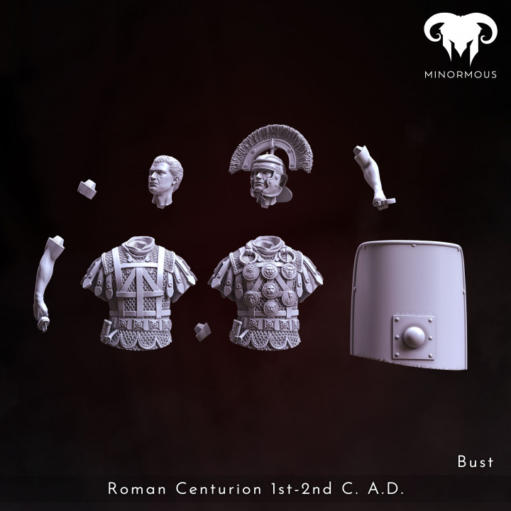 Bust - Roman Centurion 1st-2nd C. A.D. Bravery and Valor! image