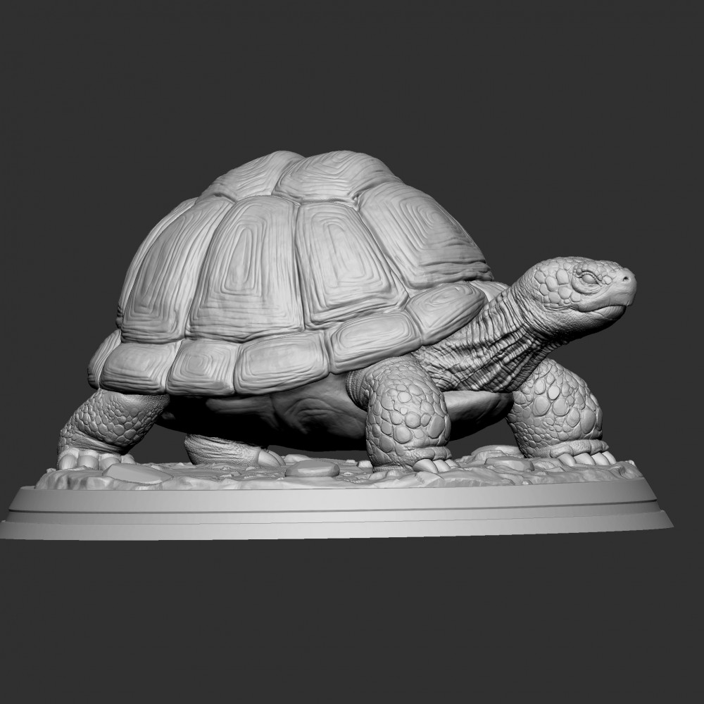 サッカニー メイビートゥモロー Grid 3D Tortoise 27.5 Maybe Tomorrow x Saucony 3D Grid Hurricane 