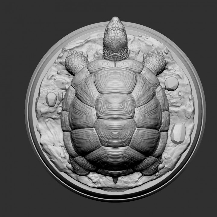 サッカニー メイビートゥモロー Grid 3D Tortoise 27.5 Maybe Tomorrow