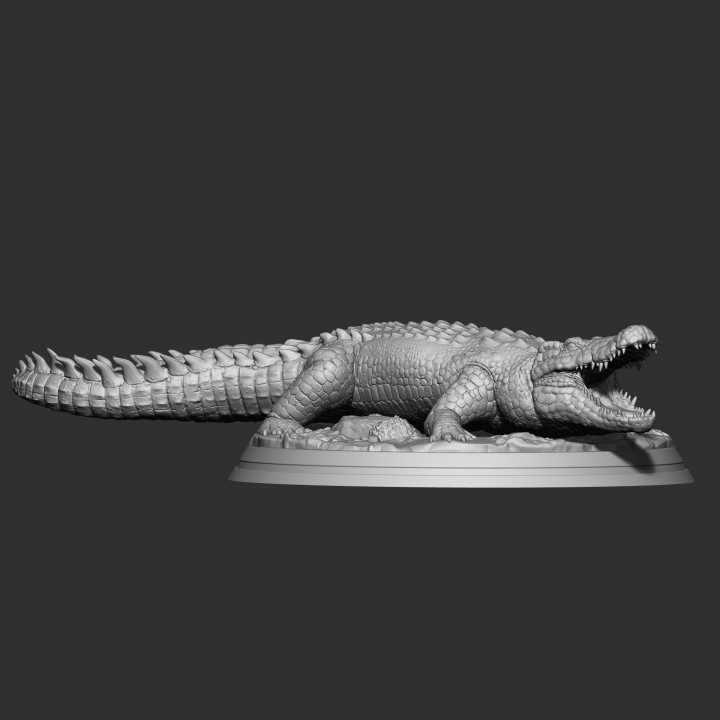 CROCODILE image