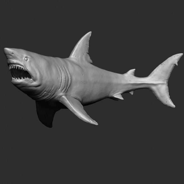 GREAT WHITE SHARK image