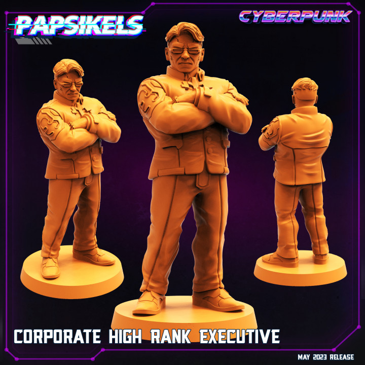 CORPORATE HIGH RANK EXECUTIVE image