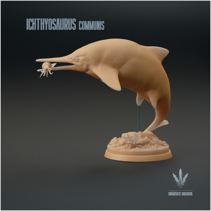 Ichthyosaurus communis : The Fish-Lizard image