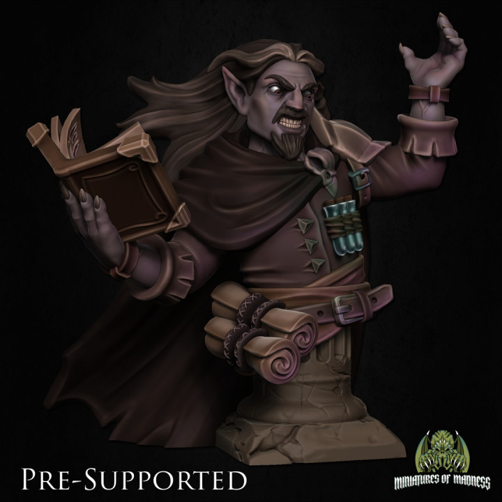 Libor, The Necromancer Bust [PRE-SUPPORTED]