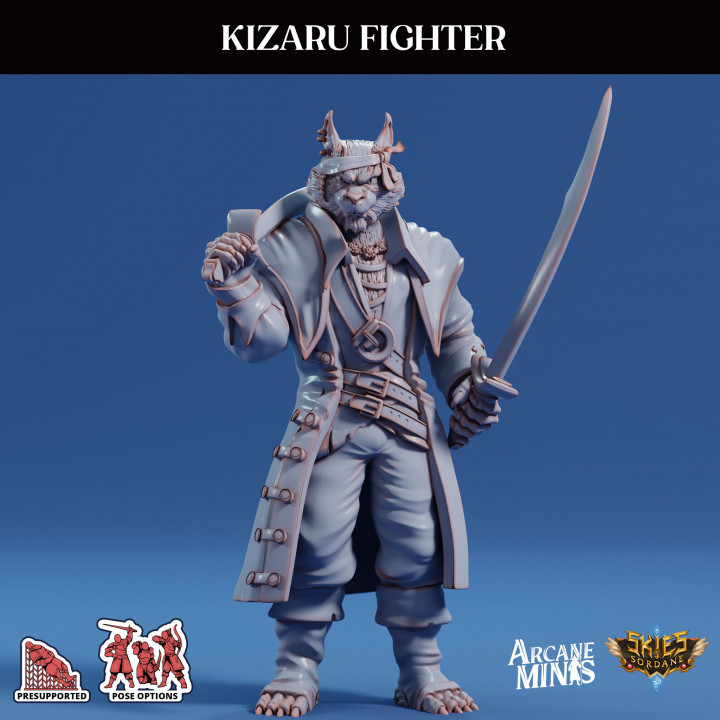 Kizaru Fighter - Pirate image