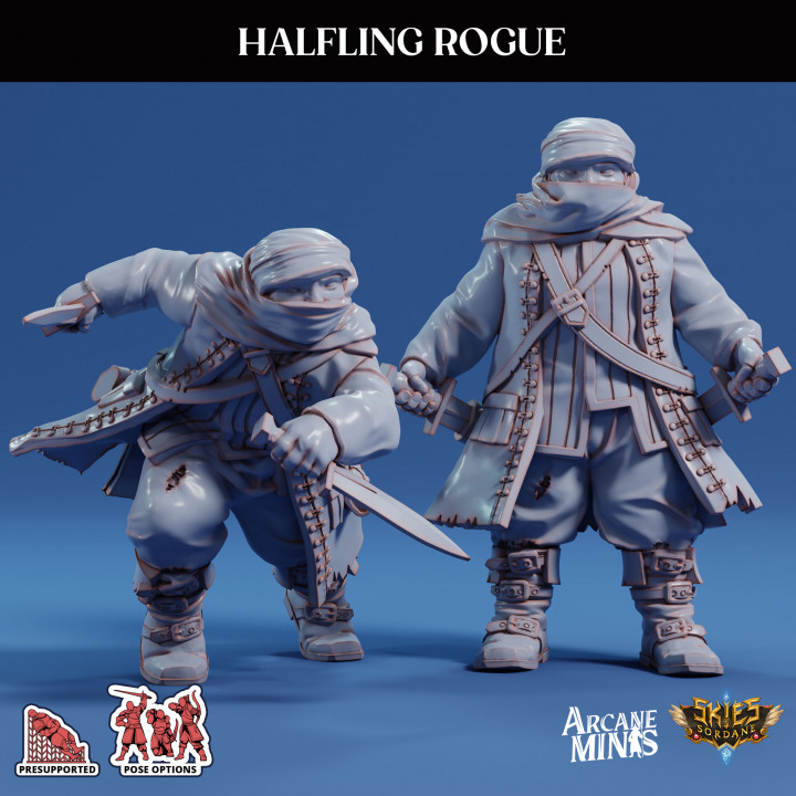 Halfling Rogue - Pirate image