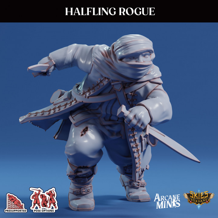 Halfling Rogue - Pirate image