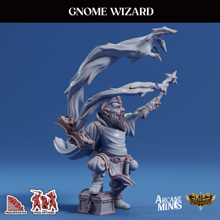 Gnome Wizard - Pirate image