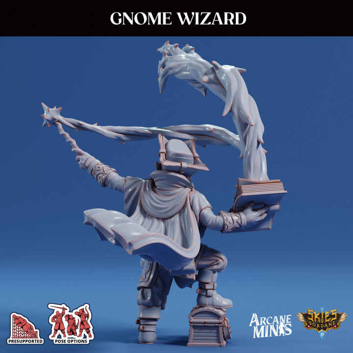 Gnome Wizard - Pirate image