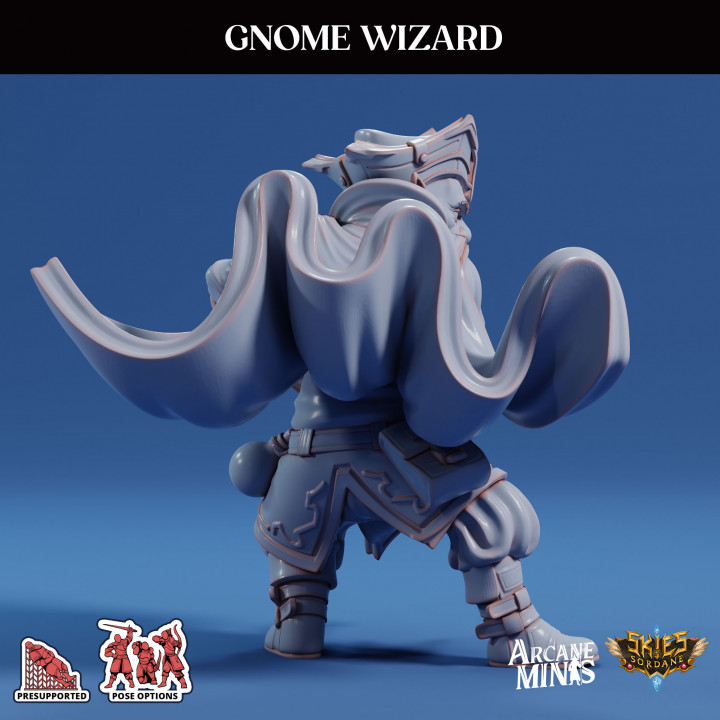 Gnome Wizard - Pirate image