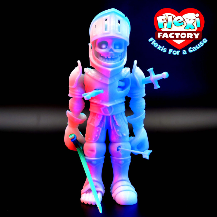 Flexi Factory/Flexis For A Cause: Skeleton Knight image