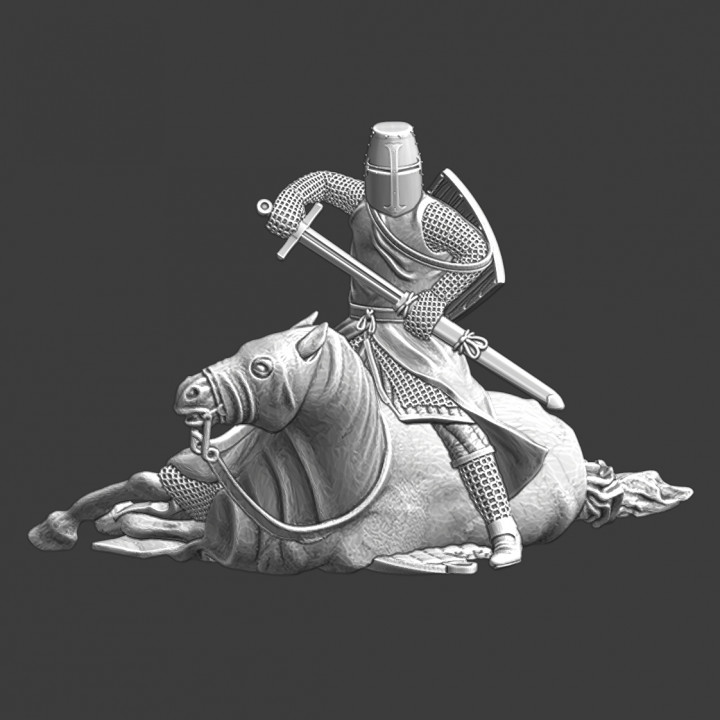Swedish crusader knight - Standing over wounded horse image