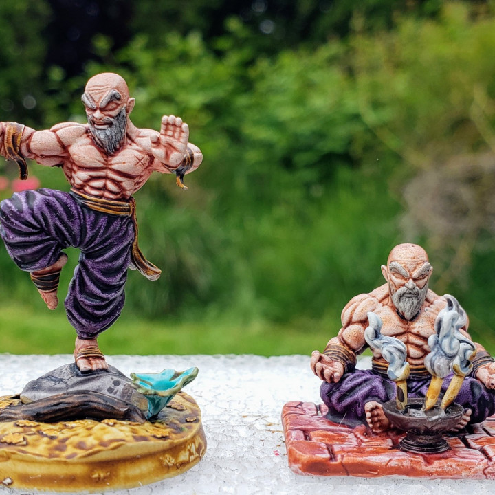 Human Monk in 2 poses