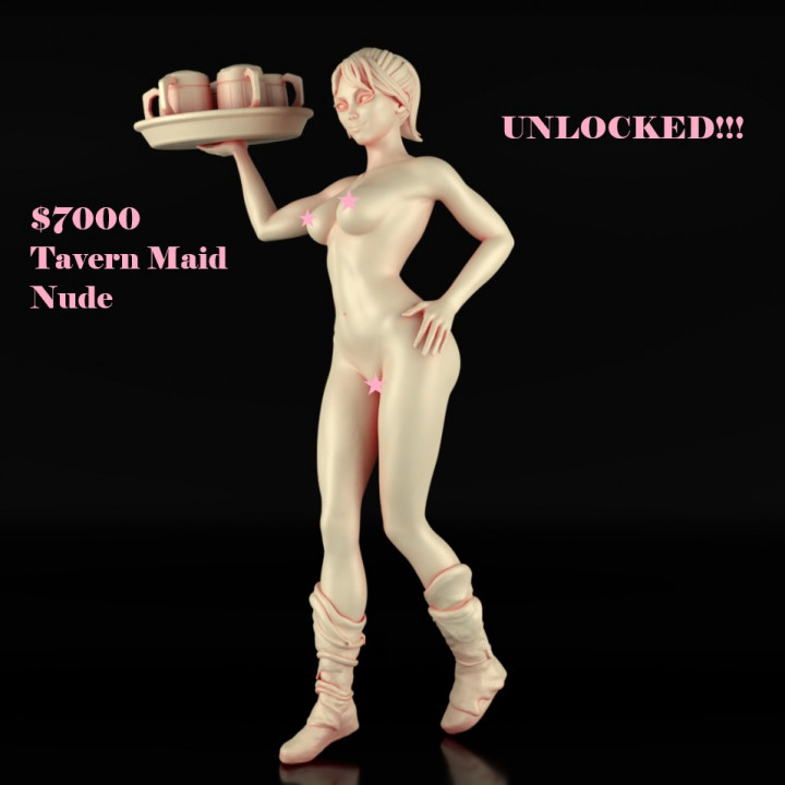 Tavern Maid image