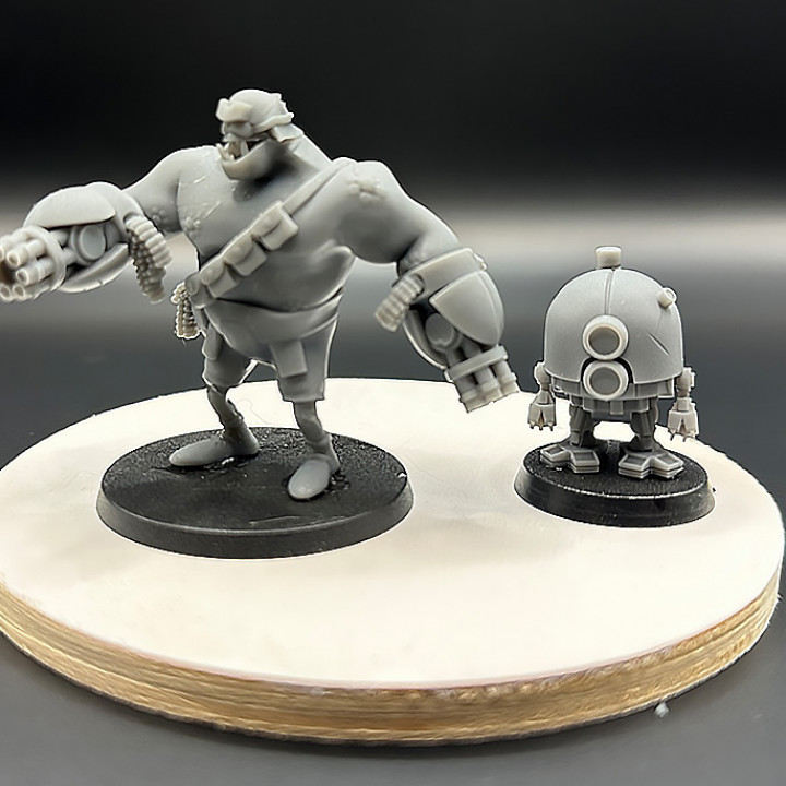 Gyrg Heavy Weapon Trooper and Lugger Bot image