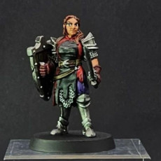 Female Paladin - Tegan the Paladin - (Female human Paladin) sword & shield