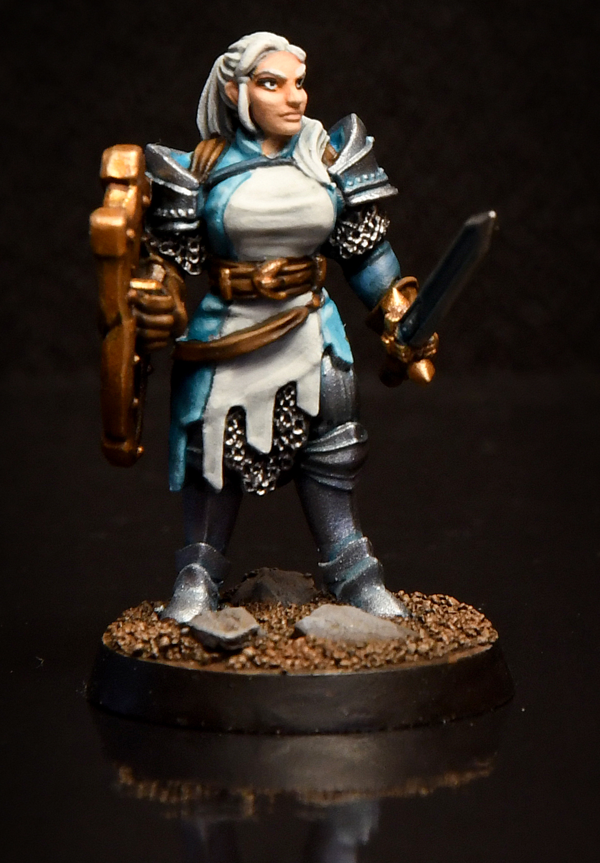 3D Printable Female Paladin - Tegan the Female Paladin - ( Female human