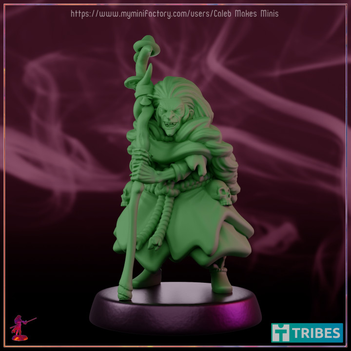 "Granny Gundigar" the Hag [PRE-SUPPORTED] | Witches II image