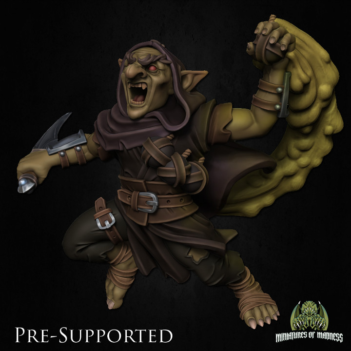 Zrag, The Rogue Goblin [PRE-SUPPORTED] image