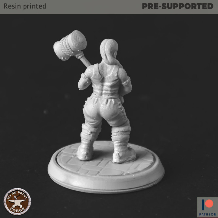 Dwarf Female Paladin two models