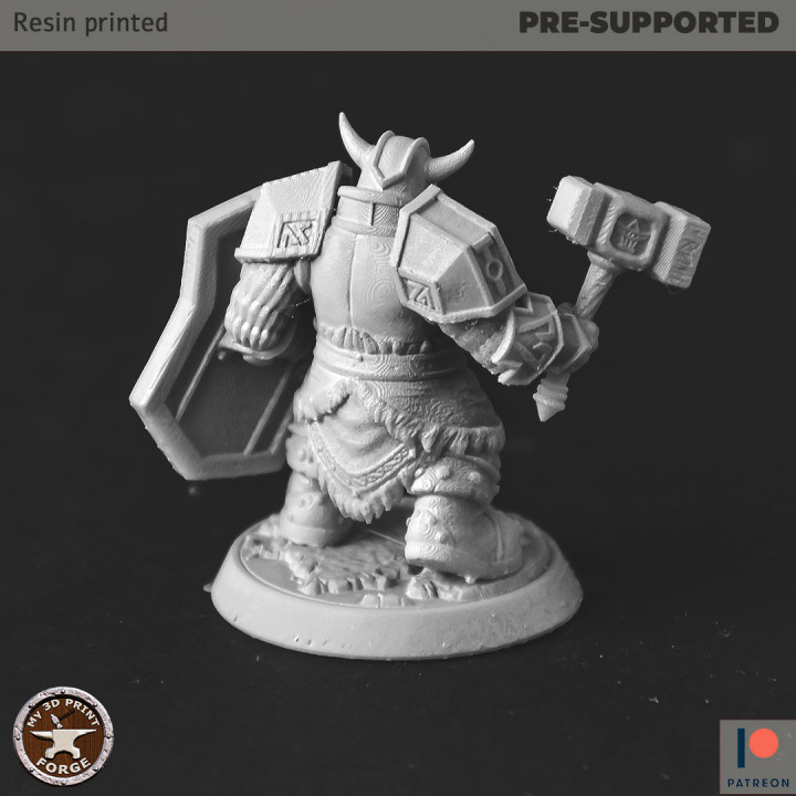 Dwarf Guard Captain Two Models image