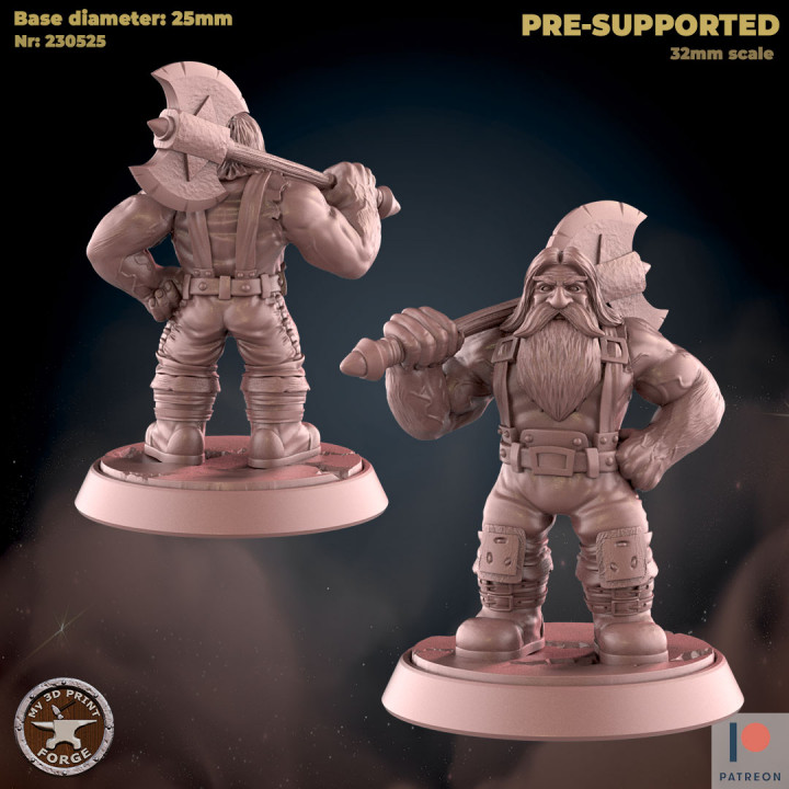 Dwarf Low level Warrior Two models image