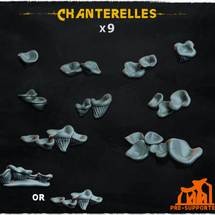 Chanterelles - Basing Bits 1.0 image