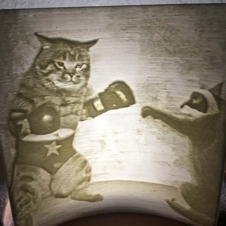 Lithophane of a Cat Fighting a Racoon image